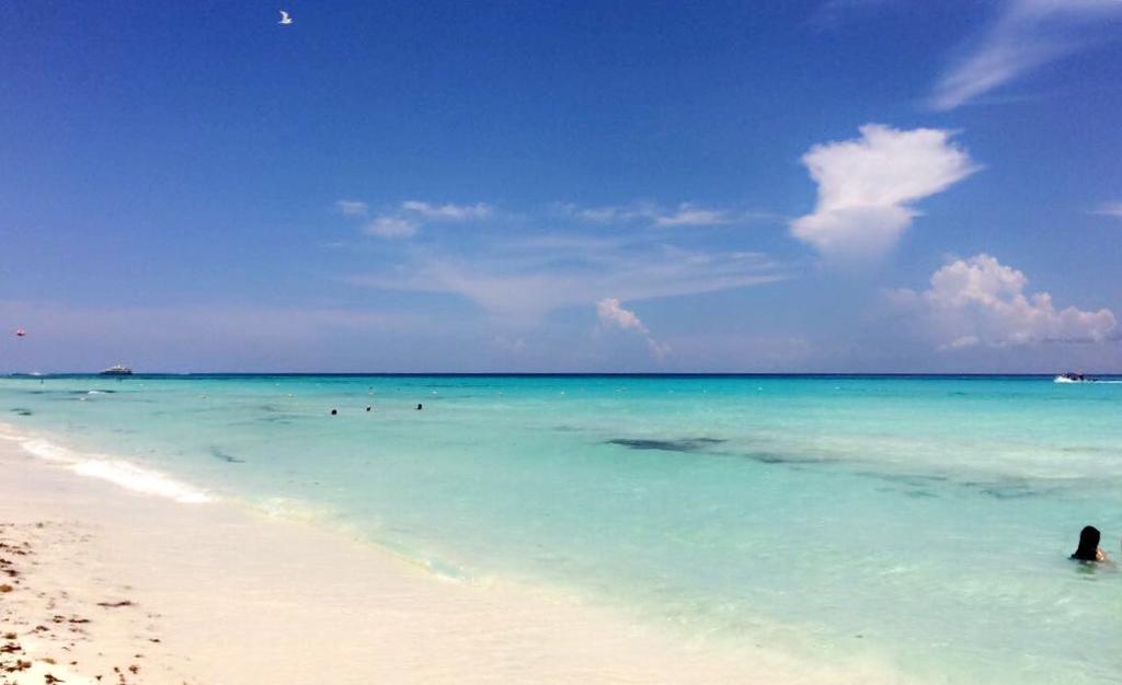 Luxury 5Th Avenue Menesse 32 Apartment Playa del Carmen Bagian luar foto
