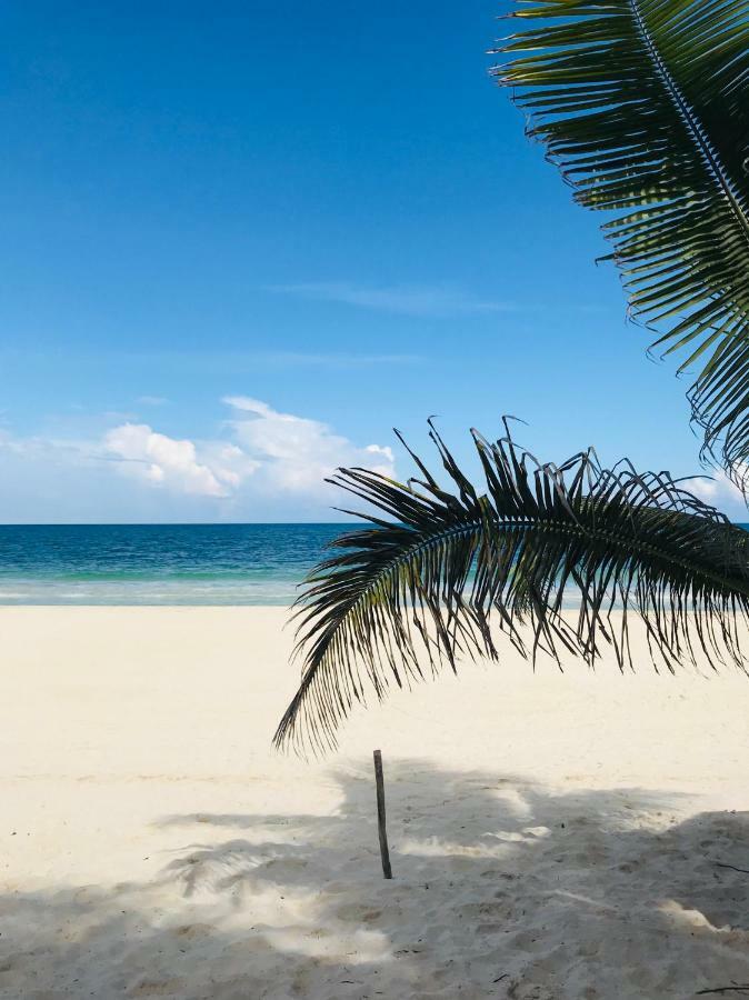 Luxury 5Th Avenue Menesse 32 Apartment Playa del Carmen Bagian luar foto